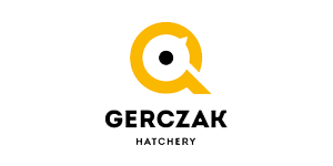 GOK Laseczno